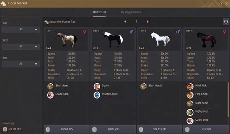 horse training bdo|bdo horse training quests.